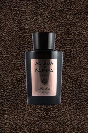 Colonia Ambra