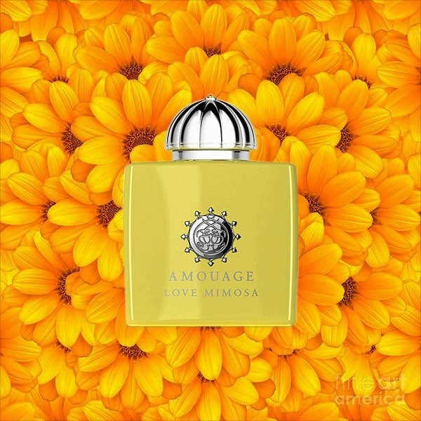 Amouage Lvoe Mimosa