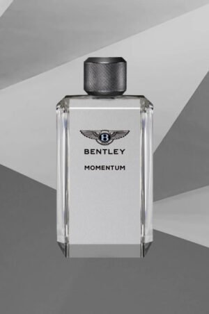 Bentley Momentum