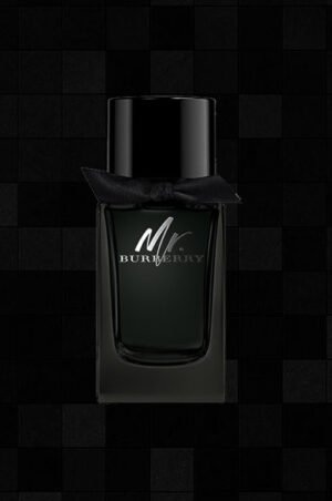 Mr Burberry