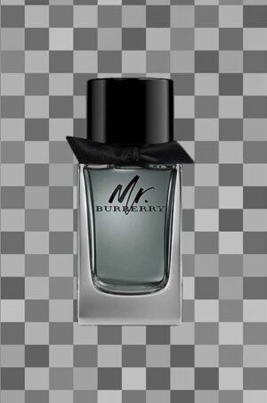 Mr Burberry Edt