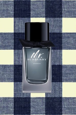 Mr Burberry Indigo