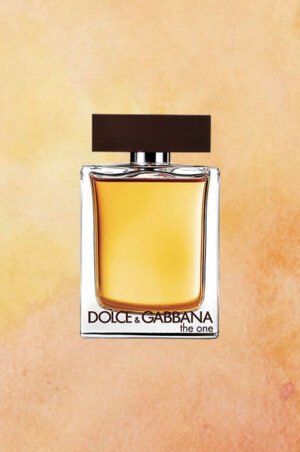 dolce gabbana the one edt