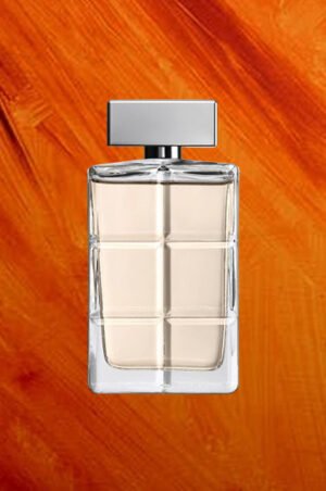 Hugo Boss Orange Men