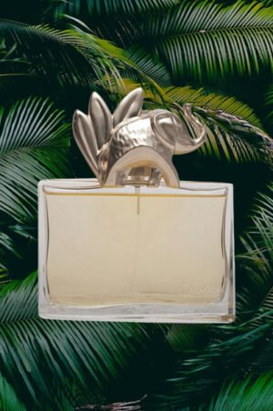 Kenzo Jungle