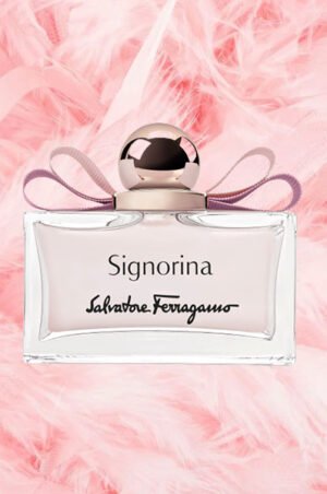 Signorina
