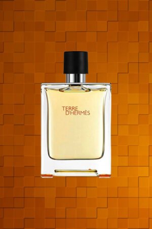 Terre d Hermes Parfum